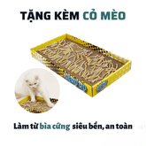 Bàn Cào Móng Mèo Hình Hộp Truyện Tranh FOFOS - Paddy Pet Shop